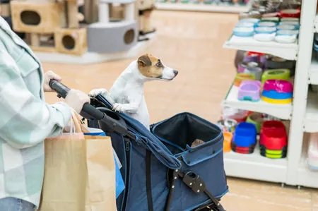Dog in pet store shopping cart with owner